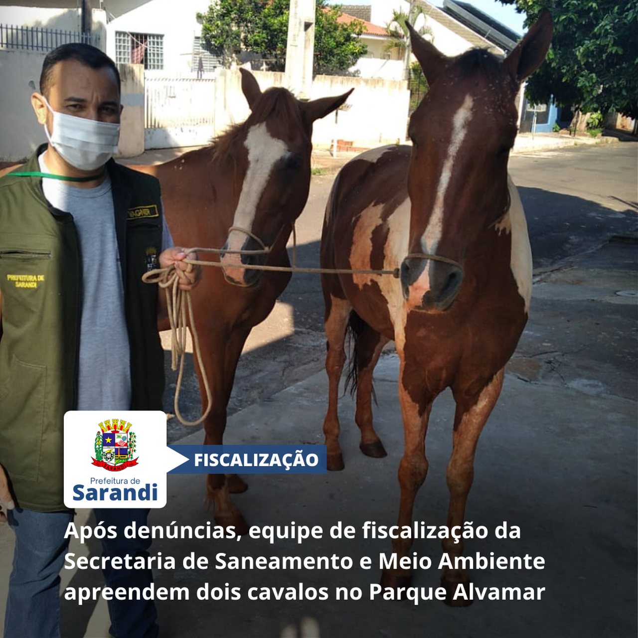 Após denúncias, equipe de fiscalização da Secretaria de Saneamento e Meio Ambiente apreendem dois cavalos no Parque Alvamar